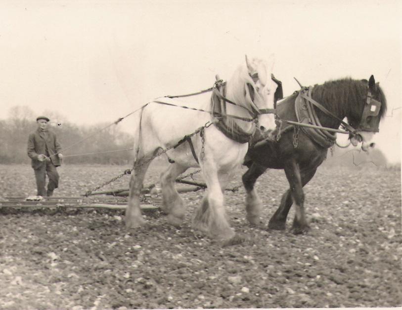 Undated - William Eldridge 2